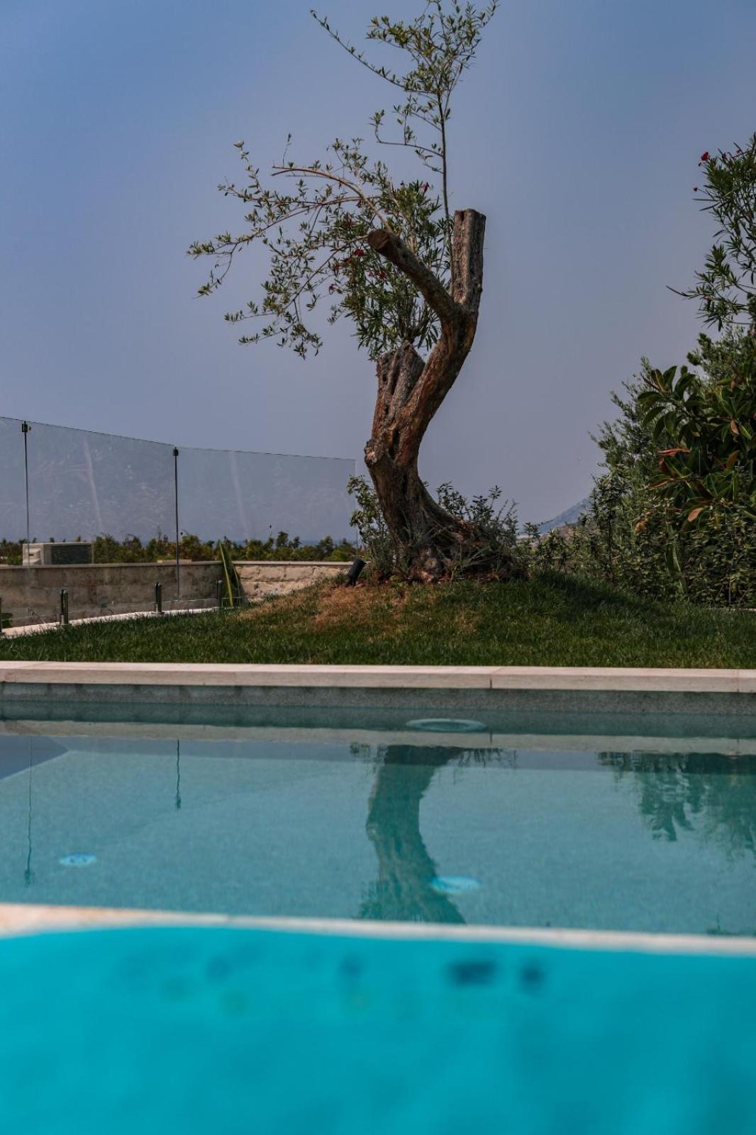 Drymades Inn Resort Dhërmi Exteriör bild